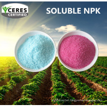 Soluble NPK Compound Fertilizer 19-19-19